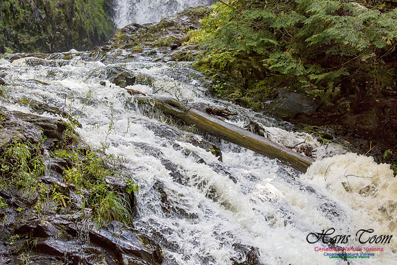 Moving Water 18