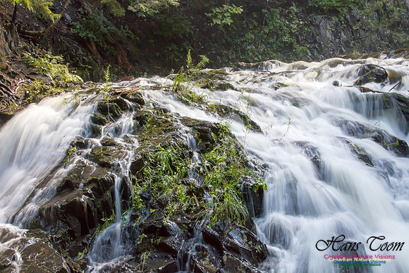 Moving Water 20