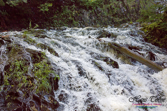 Moving Water 21