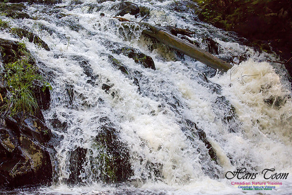 Moving Water 22