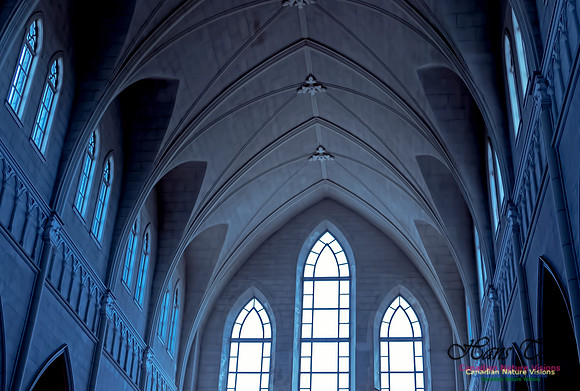 L'Eglise de Saint-Bernard 5