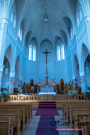 L'Eglise de Saint-Bernard 12