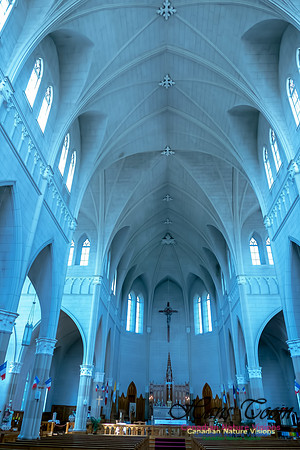 L'Eglise de Saint-Bernard 15