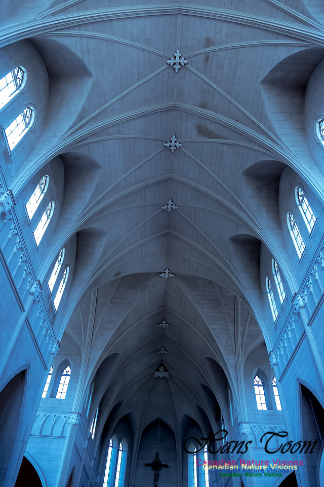L'Eglise de Saint-Bernard 16
