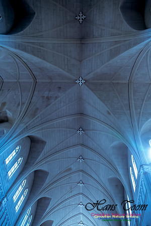 L'Eglise de Saint-Bernard 2