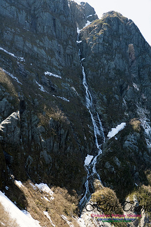 Western Brook Pond 246