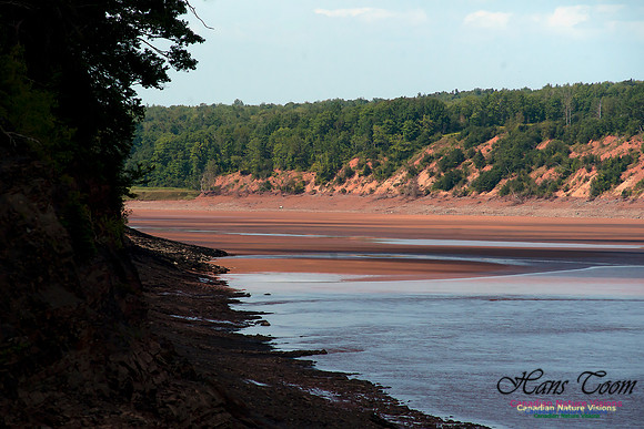 Tidal Bore at Maitland