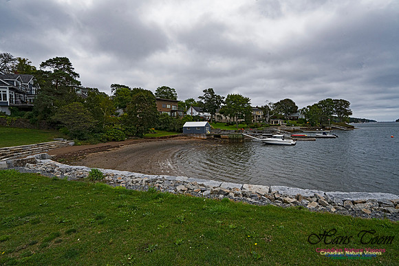Head of Northwest Arm 101