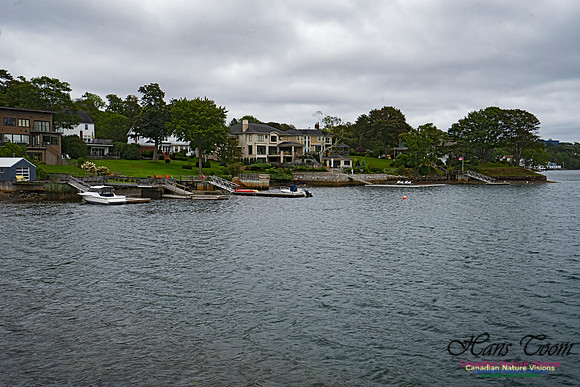 Head of Northwest Arm 102