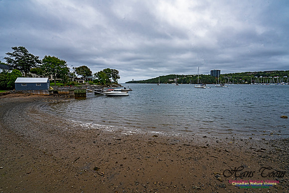 Head of Northwest Arm 103