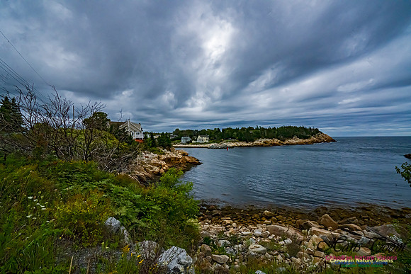 Herring Cove 102