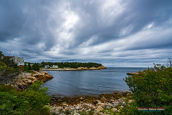 Herring Cove 103