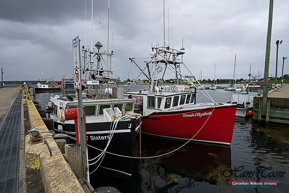 Sambro Harbour 102
