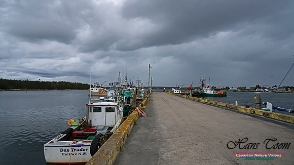 Sambro Harbour 103