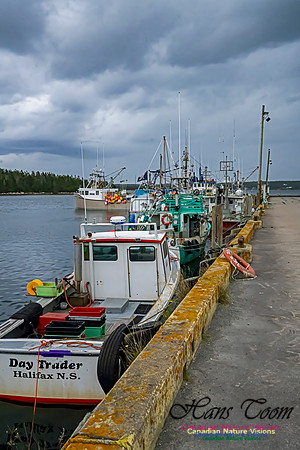 Sambro Harbour 104