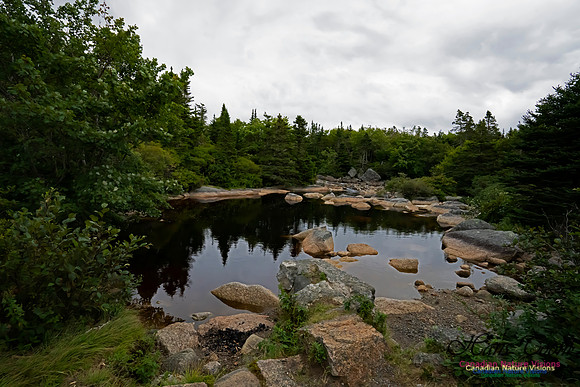 West Pennant Creek 100