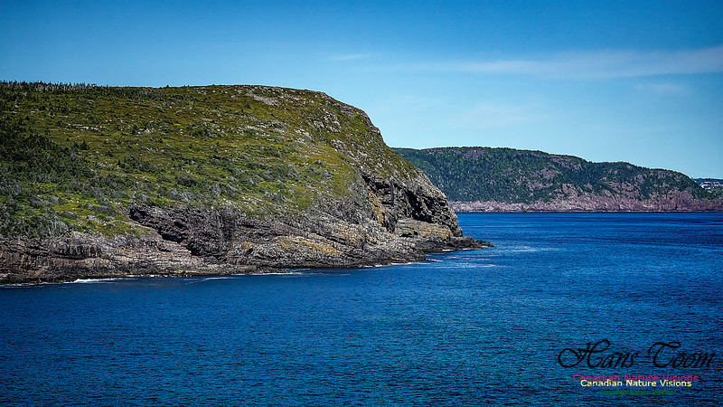 St. John's, Newfoundland 134