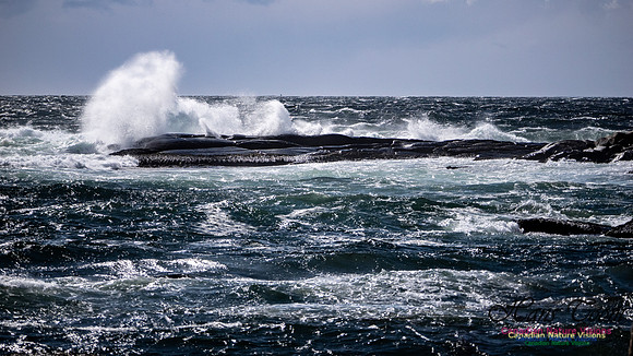 Coastal Tour 113