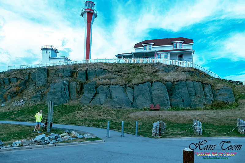 Cape Forchu 11