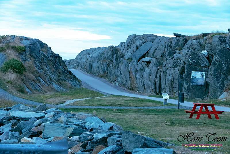 Cape Forchu 12