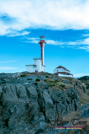Cape Forchu 7