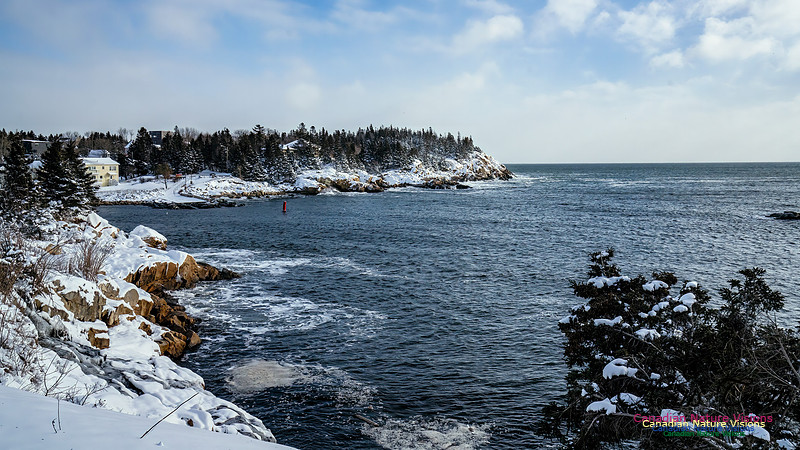 Nova Scotia Winter 338