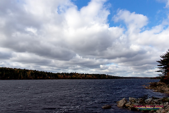 Fall Scenes 1
