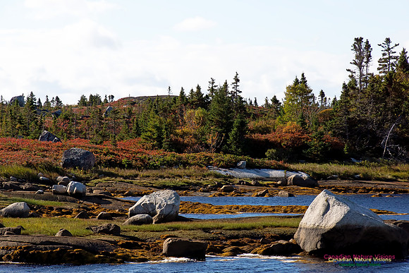 Fall Scenes 17