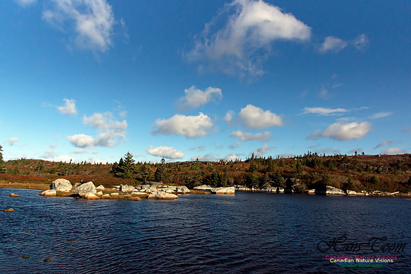 Fall Scenes 19
