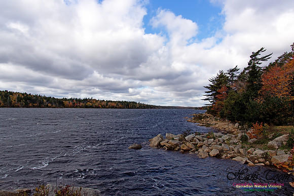 Fall Scenes 2