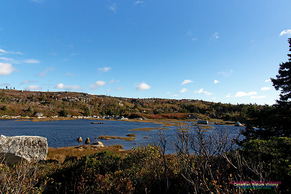 Fall Scenes 20