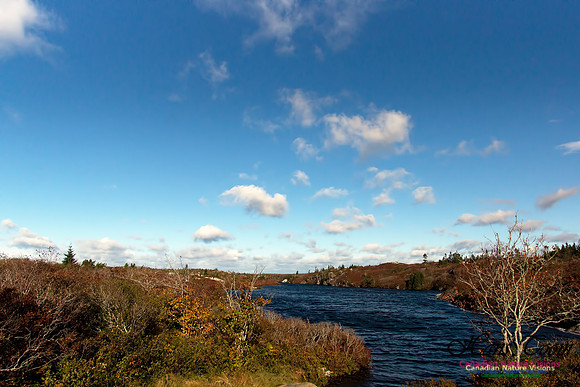 Fall Scenes 21