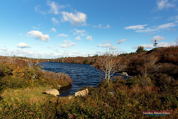 Fall Scenes 22