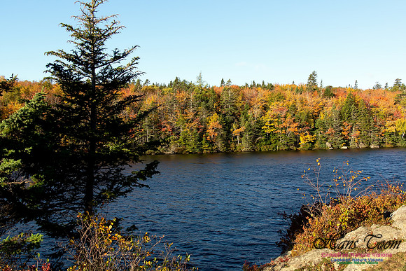 Fall Scenes 23