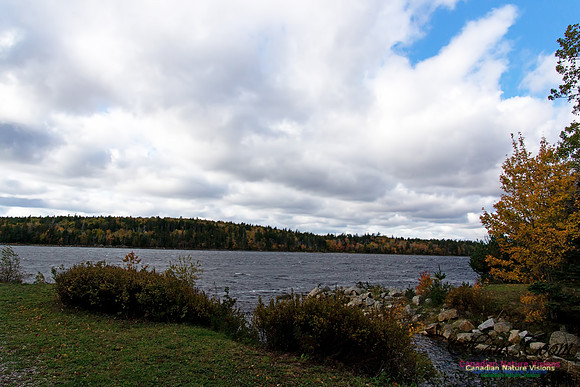 Fall Scenes 3