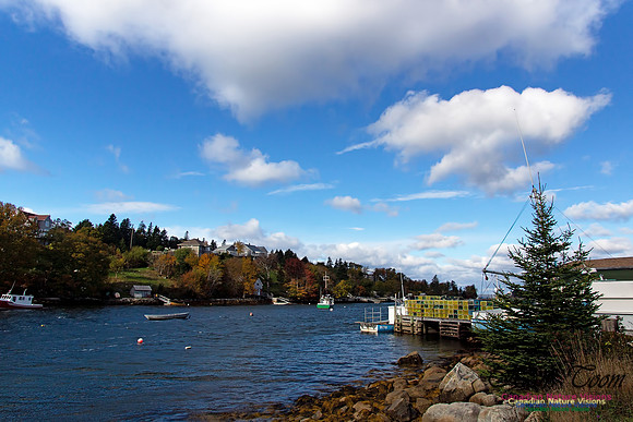Fall Scenes 4