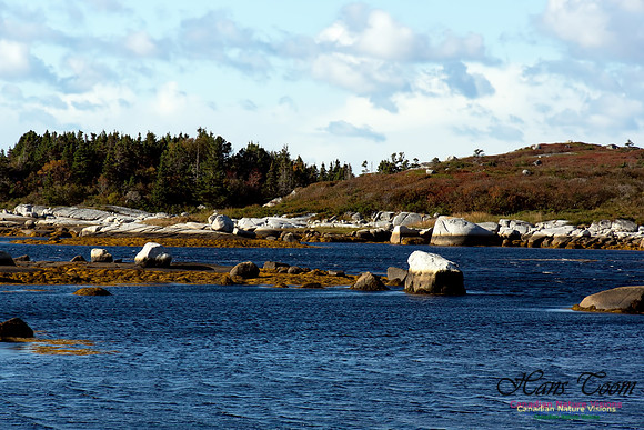 Fall Scenes 14