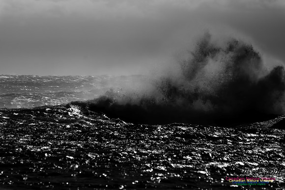 Angry Sea in Black and White 1