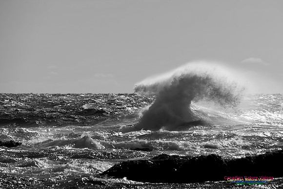 Angry Sea in Black and White 9