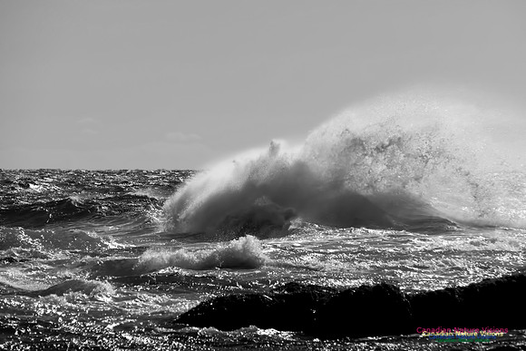 Angry Sea in Black and White 8