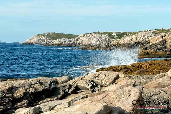 Coastal Cliffs 1