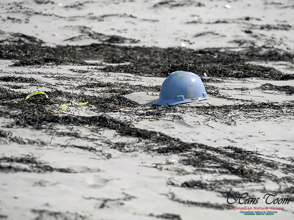 Helmet 1