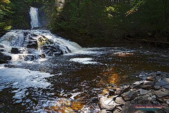 Butcher's Falls 109