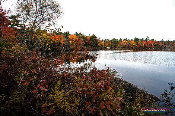 Sir Sanford Fleming Park