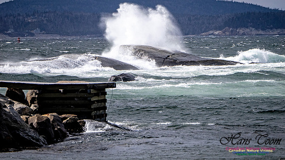 Coastal Tour 103