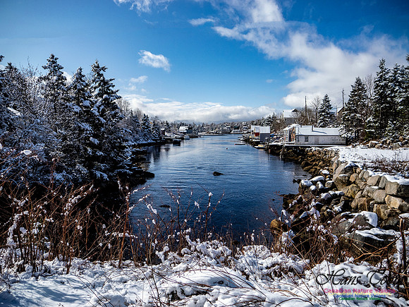 April Snow in Nova Scotia 223