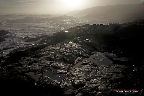 December Gale Eastern Head
