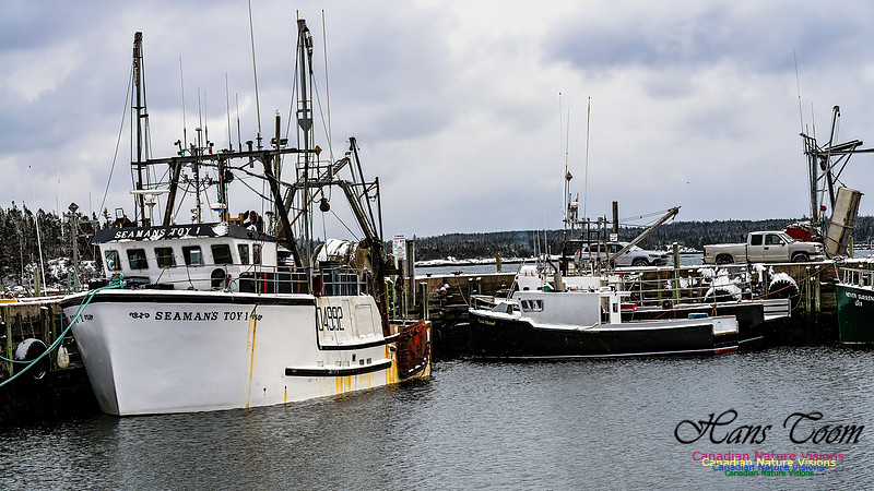 Harbour Traffic 119