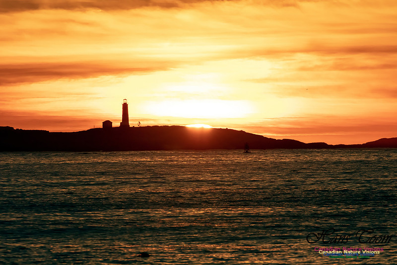 Sambro Island Sunrise 10