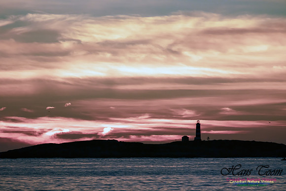 Sambro Island Sunrise 23